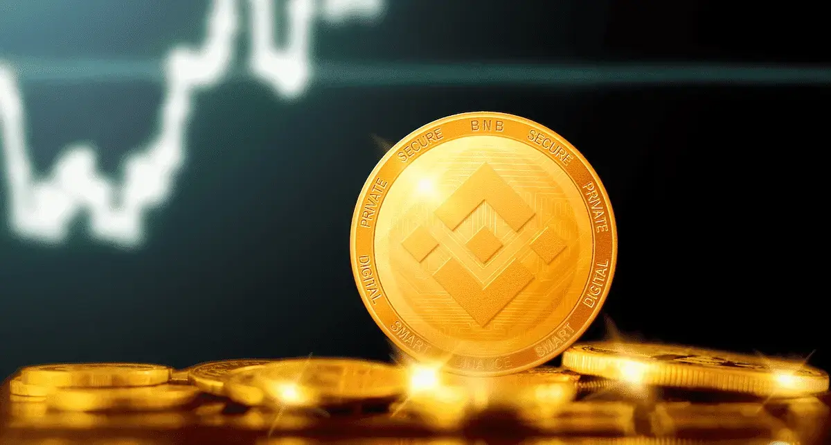Toncoin (TON) dan Binance Coin (BNB) Tunjukkan Potensi Tren Bullish