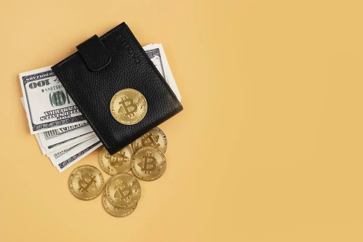 Memilih Dompet Kripto yang Aman: Hot Wallet, Cold Wallet, dan Custodial Wallet